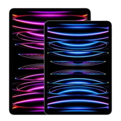Apple iPad Pro 11"" Wi-Fi + Cellular 2022 512Go gris sid&eacute;ral - neuf