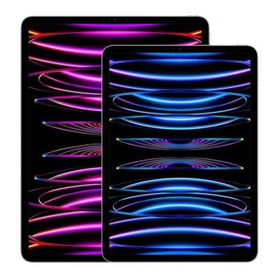 Apple iPad Pro 12,9"" Wi-Fi + Cellular 2022 2To gris sid&eacute;ral - neuf