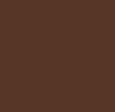 VALLEJO  Peinture acrylique pour mod&eacute;lisme 17 ml German Cam Black Brown