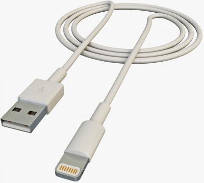 AKASHI Accessoires T&eacute;l&eacute;phone Portable  Altcableip 5 Lg
