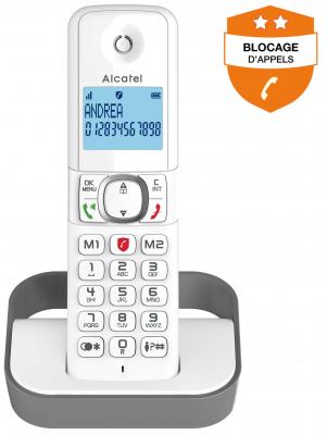 ALCATEL T&eacute;l&eacute;phone sans fil  F 860 Solo Gris