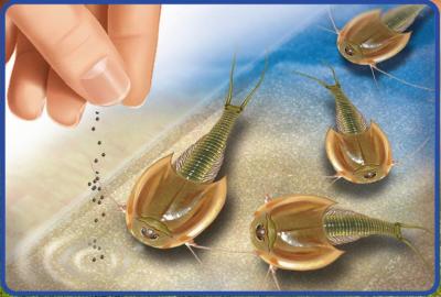 RAVENSBURGER Artistique Maxi-Triops Et Dinosaures
