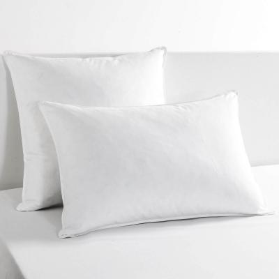 ESSIX Oreiller naturel Moelleux 65x65 cm 