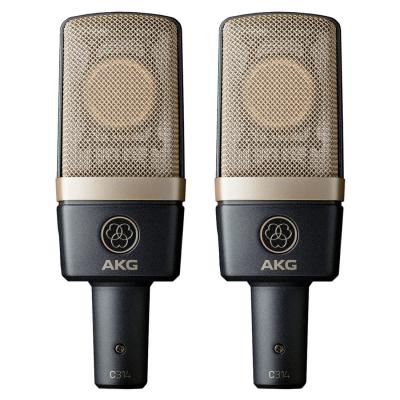 AKG  Couple de microphones de studio statique
