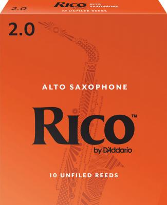 D ADDARIO RICO Rico Alto #2.0 (Pack Of 10) Saxophone Reeds