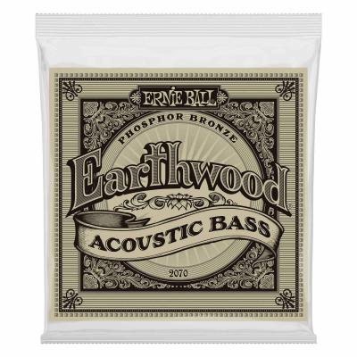 ERNIE BALL  2070 - Jeu De Cordes Basse Acoustique - Earthwood Phosphore Bronze