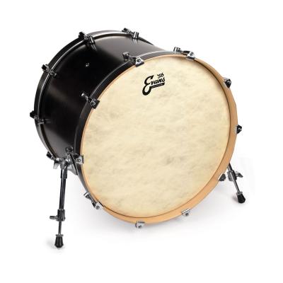 EVANS  Bd18ct - Peau De Grosse Caisse Calftone 18 Pouces