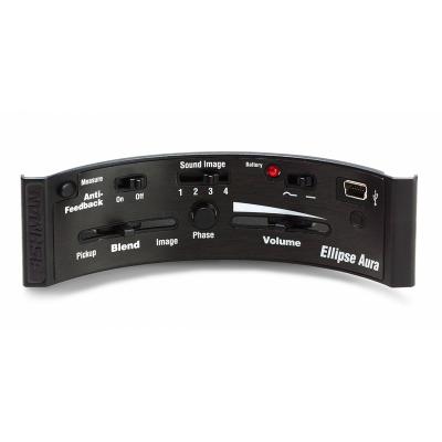 FISHMAN Micro Et Pr&eacute;amp  Ellipse Aura Format Large
