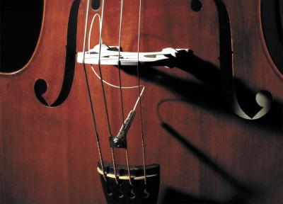 FISHMAN  Full Cirle format 1/4-20