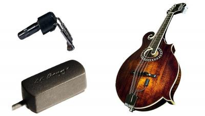 LR BAGGS Accessoires guitares  RADIUS-M Micros guitares acoustiques