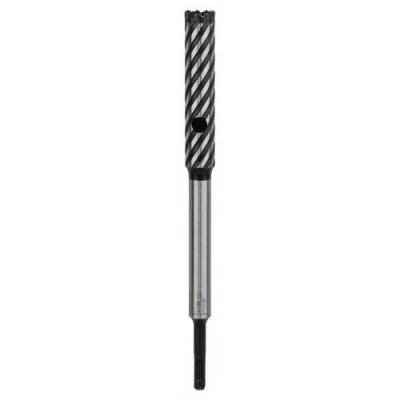 Bosch - Coupeur d'armature quatre coupeurs. SDS-Plus-9. 25 x 120 x
