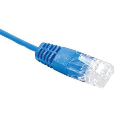 Dexlan Cordon UTP 1P surmoul&eacute; RJ45/RJ45 pour T&eacute;l&eacute;phone 100 ohms 10 m