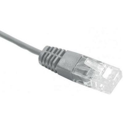 DEXLAN  Cordon utp 2P surmoule RJ45/RJ45 pour T&eacute;l&eacute;phone 100 ohms 2 m
