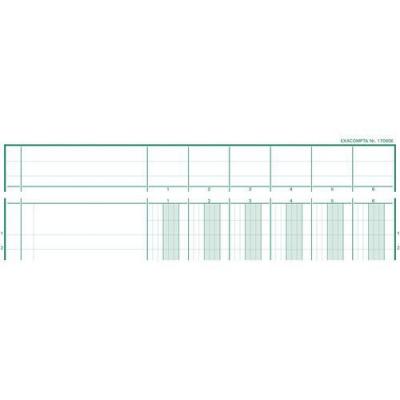 EXACOMPTA Piq&ucirc;re  T&ecirc;te paresseuse 29,7x21cm 6 colonnes/1 page 80p