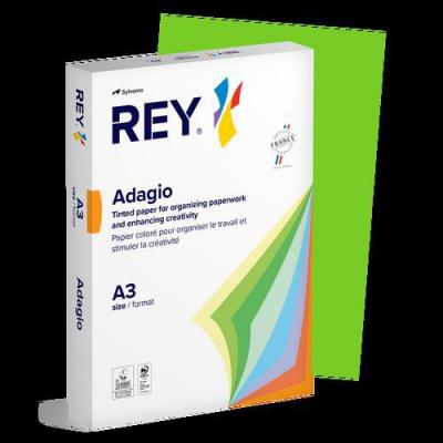 GENERIQUE Ramette 500 Feuilles Vives 80g A3 - Vert Pomme