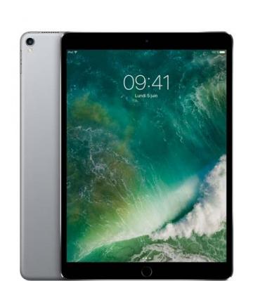 Apple iPad Pro 256 Go WiFi + 4G Gris sid&eacute;ral 10.5